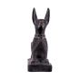 God Anubis basalt statue