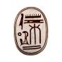 Real Egyptian Scarabs For Sale | Egyptian Scarab Beetle | Backside image