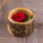 plant pot wood for decor