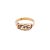 Customize your Name In ancient Egyptian Hieroglyphic Letters, Gold Cartouche Ring