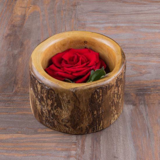 plant pot wood