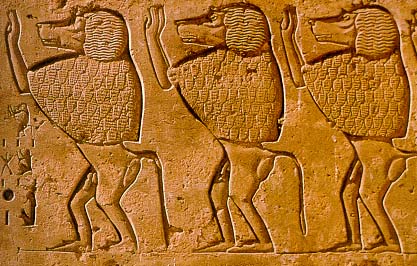 Sacred Monkeys in Ancient Egypt